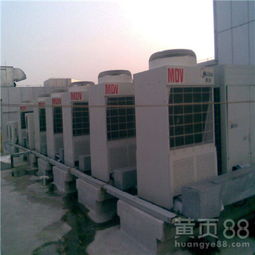 上海文體商城 全民健康與文化生活的璀璨明珠